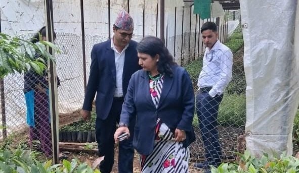 प्रमुख जिल्ला अधिकारीज्यूद्धारा डिभिजन वन कार्यालयको निरिक्षण (२०८३।०६।०६)